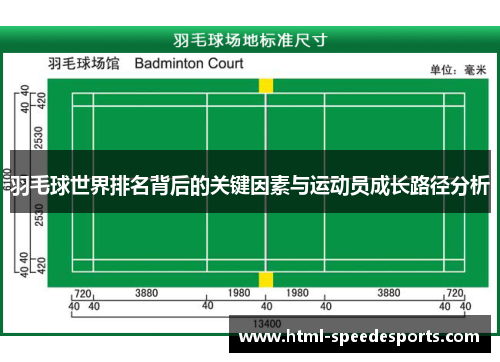 羽毛球世界排名背后的关键因素与运动员成长路径分析
