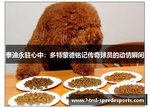 泰迪永驻心中：多特蒙德铭记传奇球员的动情瞬间