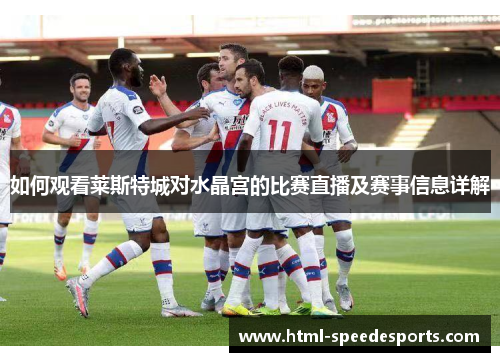 如何观看莱斯特城对水晶宫的比赛直播及赛事信息详解