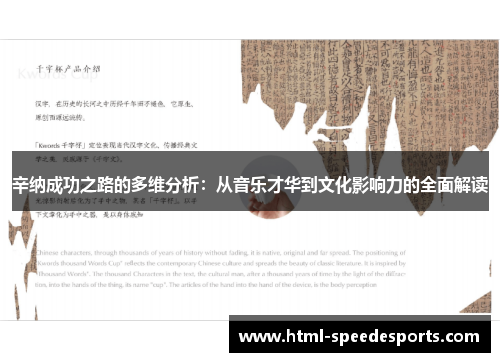 辛纳成功之路的多维分析：从音乐才华到文化影响力的全面解读