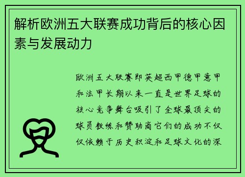 解析欧洲五大联赛成功背后的核心因素与发展动力