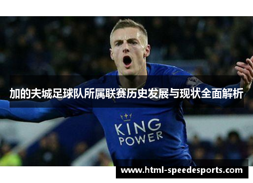 加的夫城足球队所属联赛历史发展与现状全面解析 加的夫城足球队所属联赛历史发展与现状全面解析