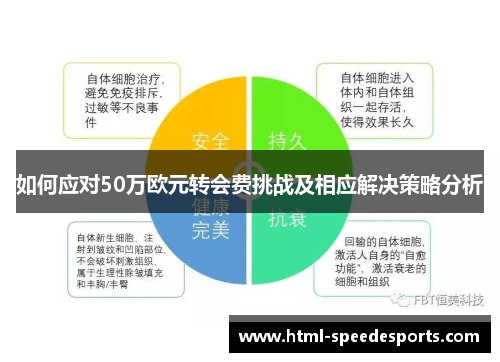 如何应对50万欧元转会费挑战及相应解决策略分析